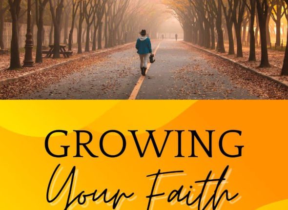 photo_2025-02-27_16-46-26